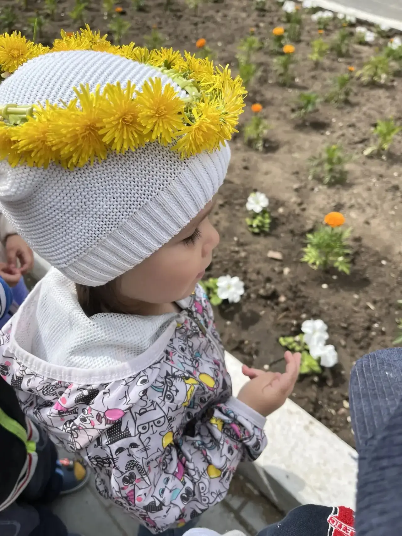 🌸 🌿 Настоящее летнее приключение: цветочная экскурсия! 🌸

✨Сегодня наши малыши отправились в увле