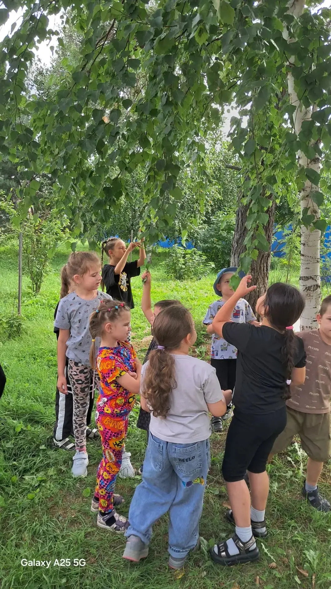 День берёзки прошел вчера у ребят подготовительной группы.
