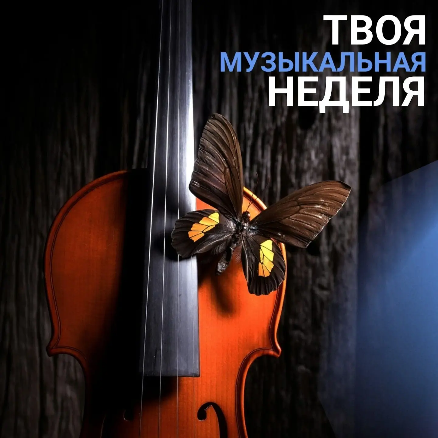 На этой неделе в филармонии
