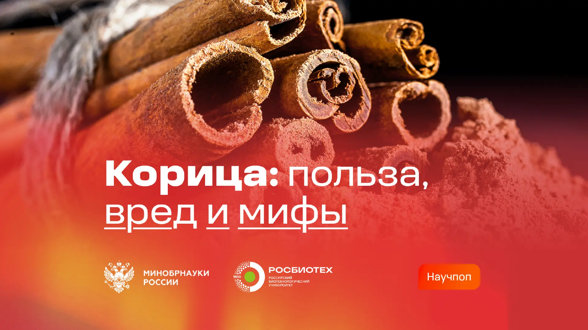 Корица — одна из самых популярных специй в мире. Но действительно ли она помогает снизить уровень са