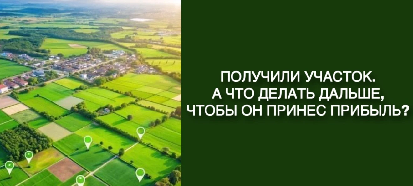 Получили участок. Что делать дальше, чтобы он начал приносить деньги?