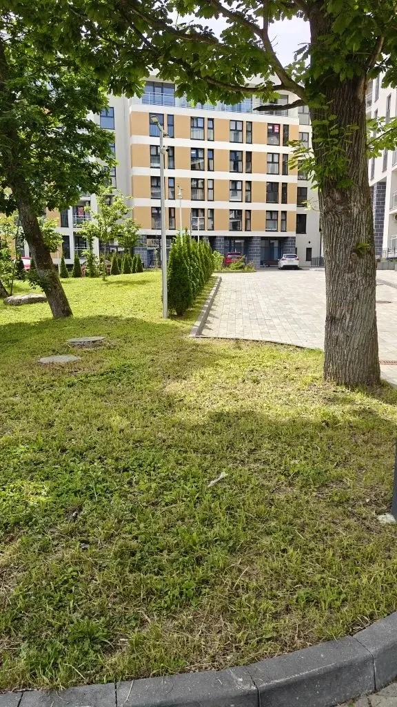 В перерывах между осадками УК производит повторный покос газонов. От дождей трава растет быстрее кур