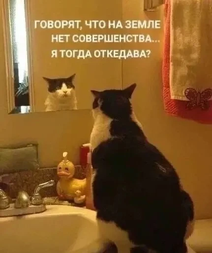 Изображение 1 к публикации «КОСМЕТОЛОГ»