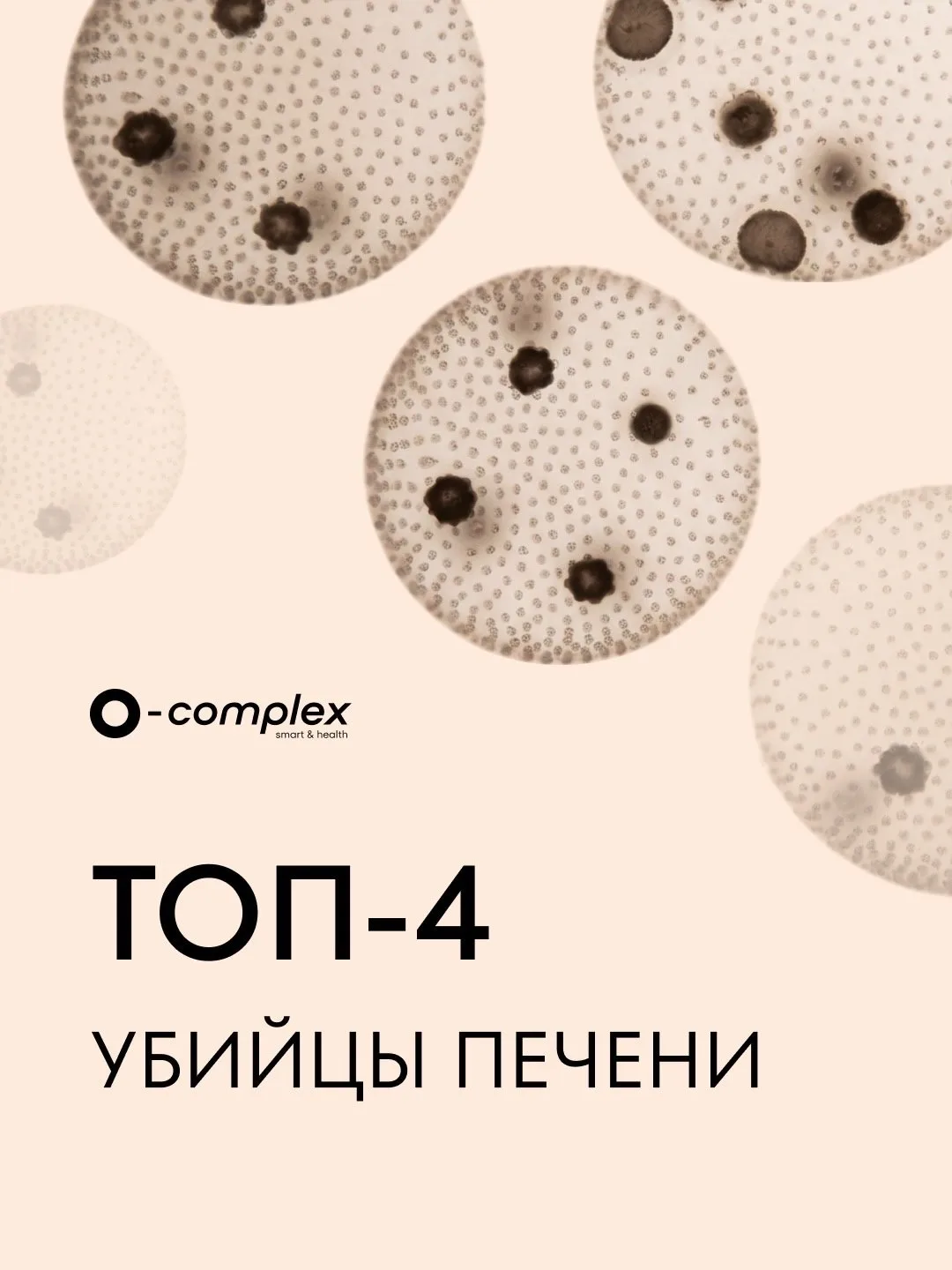 Приобрести цеолит с промокодом max2026