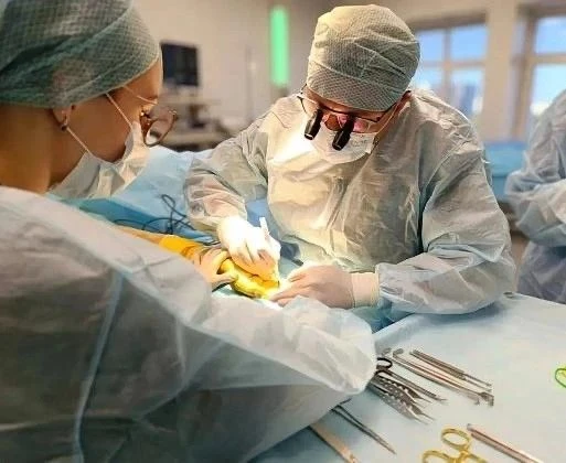 17-летней волгоградке провели успешную операцию по удлинению кисти

В Волгоградской областной клинич