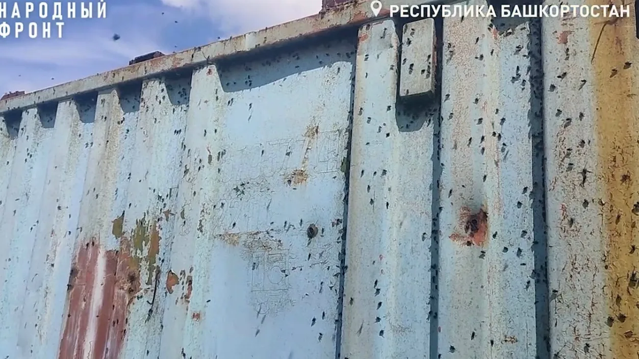 🤢Мухи в домах и запах падали за окнами🤮

Жители целого города в Башкирии просят о помощи
https://r