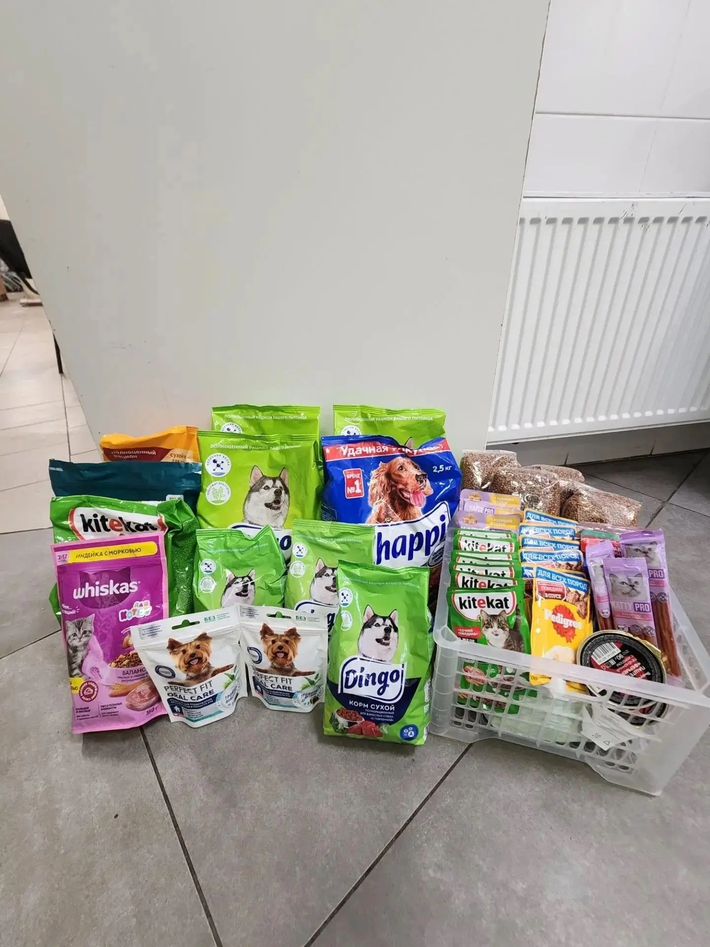 Огромное спасибо каждому, кто не проходит мимо! 🐾 В магазине «Пятёрочка» ул. Мира вы с...