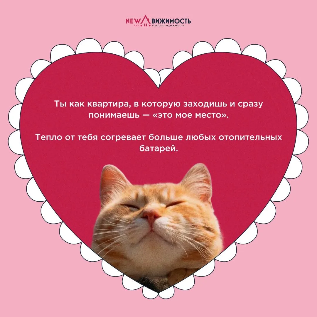 💓 Рядом с вами уже живет ваш самый важный человек  Многие не признают 14 февраля как праздник всех в