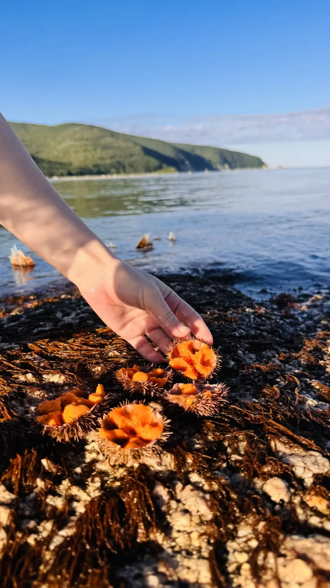 Завтрак на кемпинге «Август и море» может быть и таким 🧡