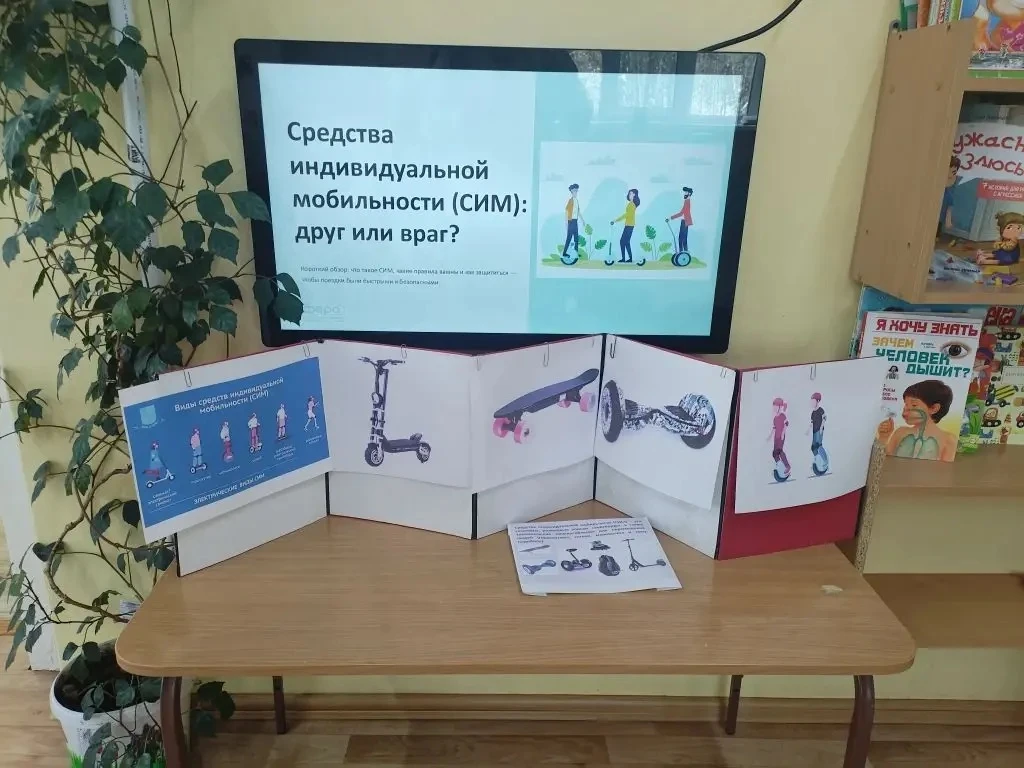 Знакомство с понятием СИМ и основы безопасного катания