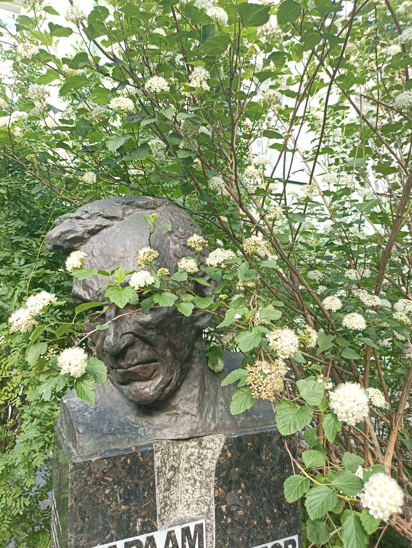 У студентов — сессия и дипломы. У нас — сезон цветения. 🌺 
В Парке современной скульптуры тишина, с