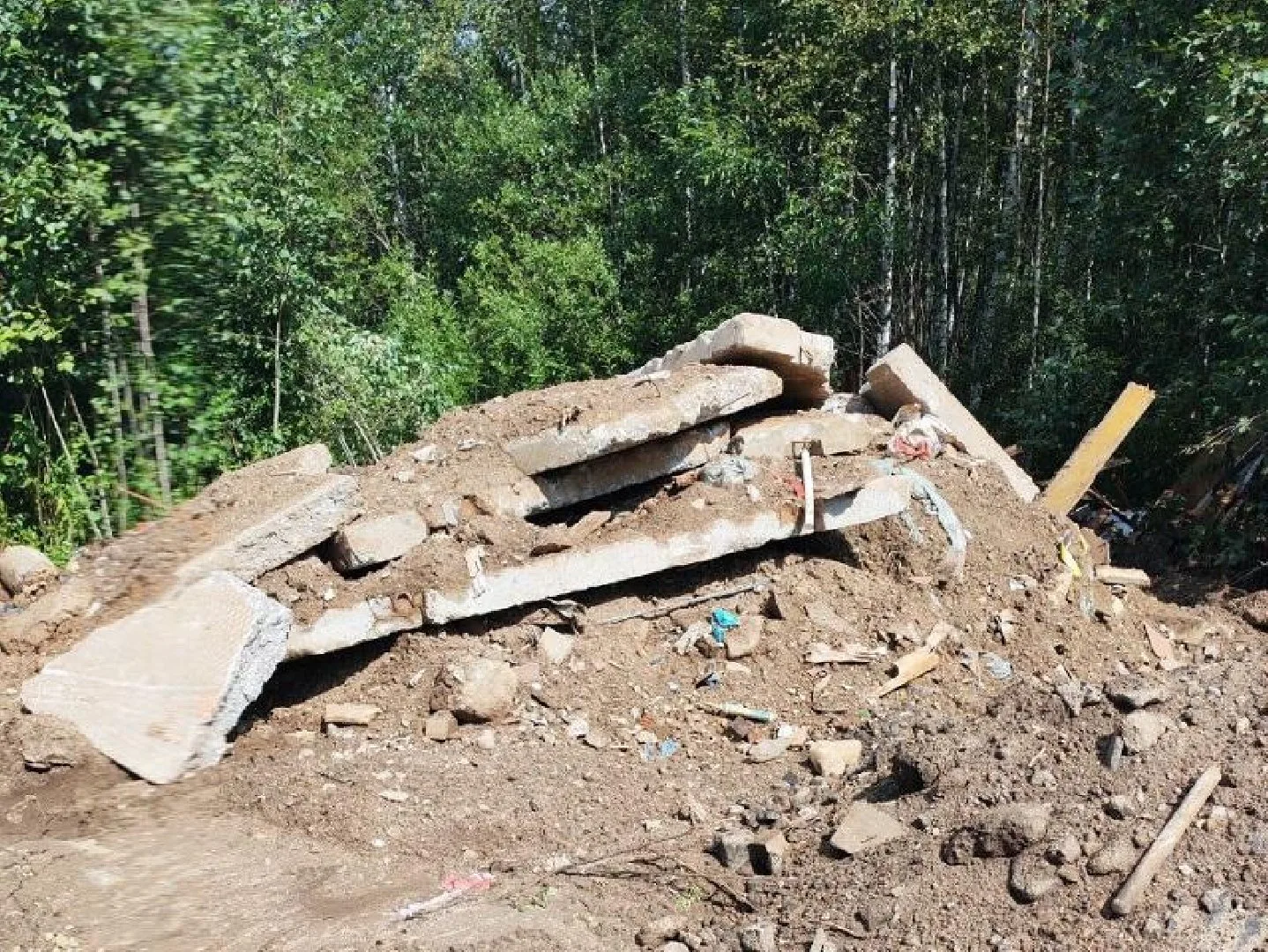 В Ленинском округе Московской области решен вопрос с незаконной свалкой. Арбитражный су...