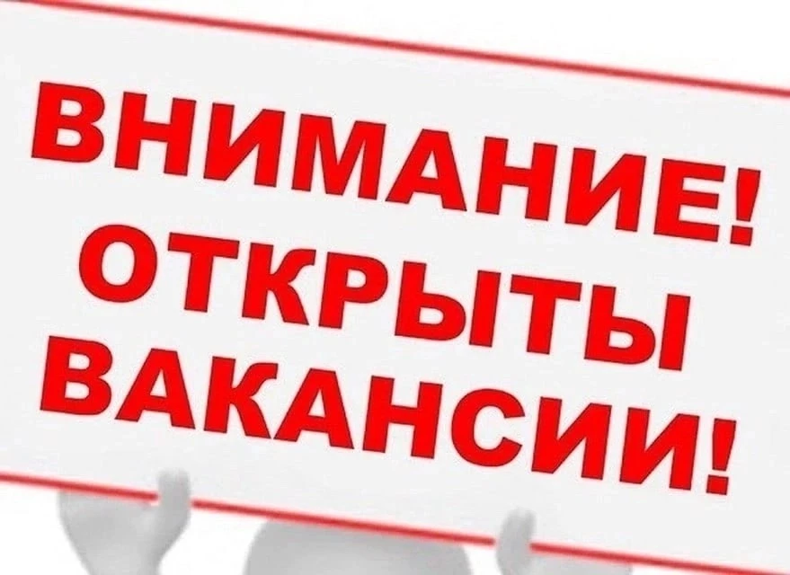 ‼️В МБДОУ д/с "Золотая рыбка" требуется на постоянную работу:

 📌воспитатели
📌повар

Подробная инф
