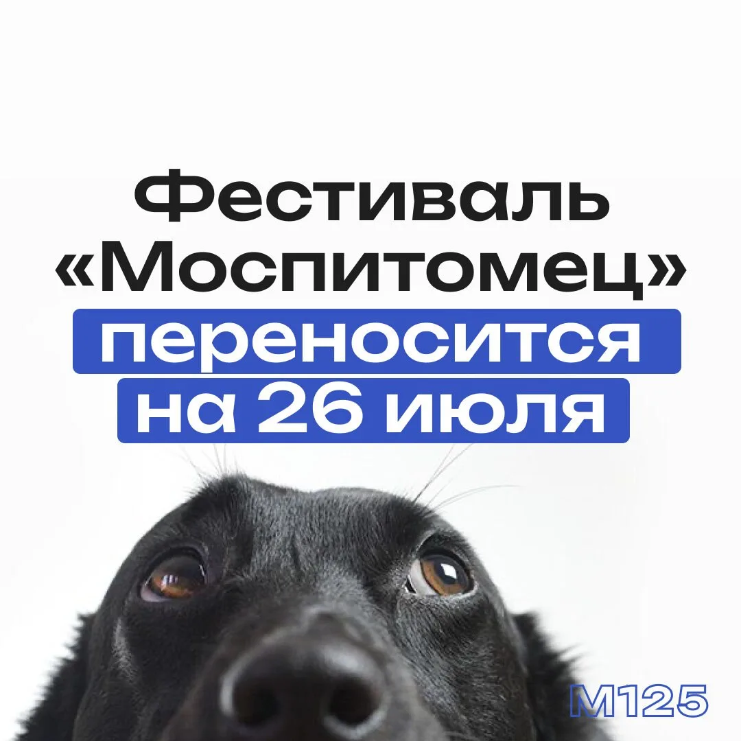 Фестиваль «Моспитомец» перенесли из-за непогоды – он пройдет 26 июля на ВДНХ. Гости смо...
