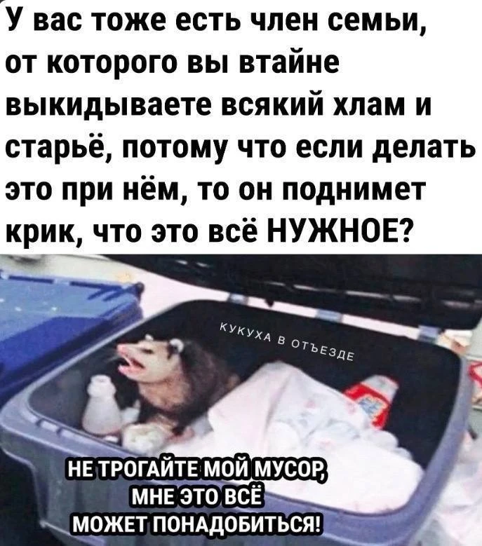 Кукуха в отъезде 🐦