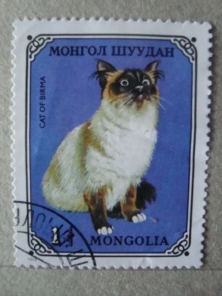 Почтовые марки Монголии 😺