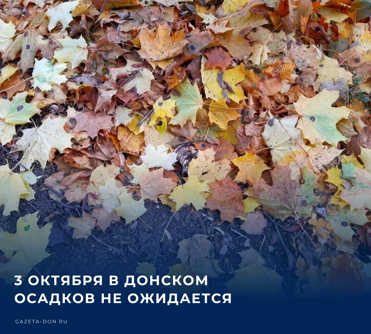 ☁️ Завтра днем погода в Донском будет облачная, без осадков. Температура воздуха повыси...