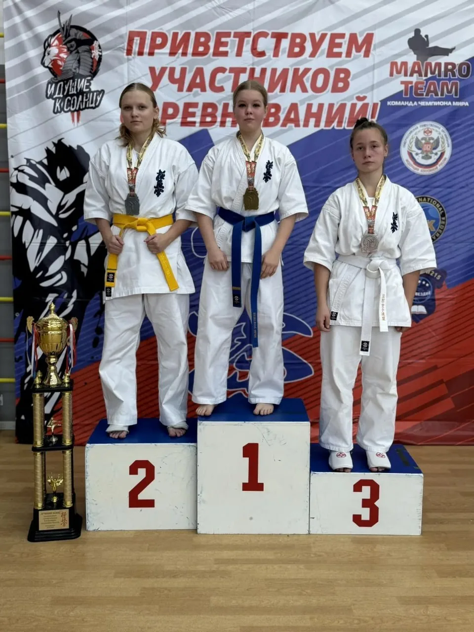 🥋 Кубок сильнейшего получил каратист из Ревды