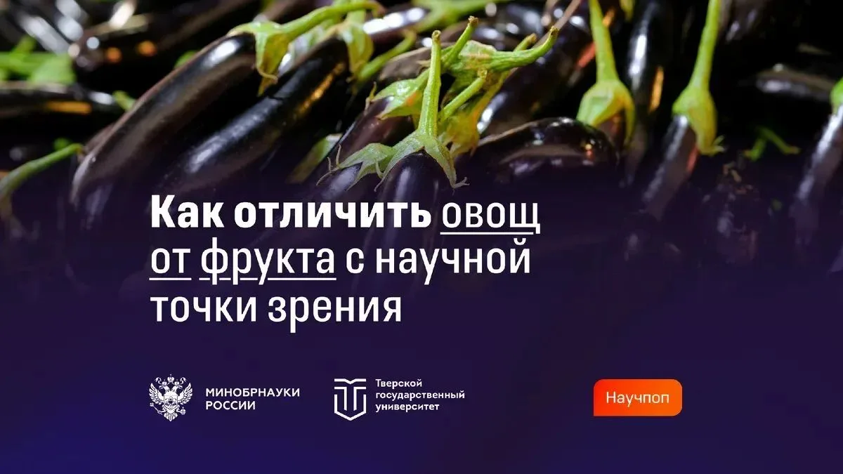 🍅 Помидор — ягода, а арбуз — нет?