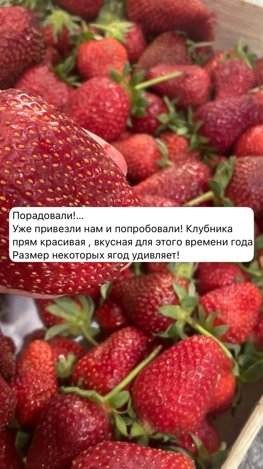 Благодарим всех за ваши отзывы ❤️ Нам очень приятно, что наши ягодки пришлись вам по вкусу!   Мы дей