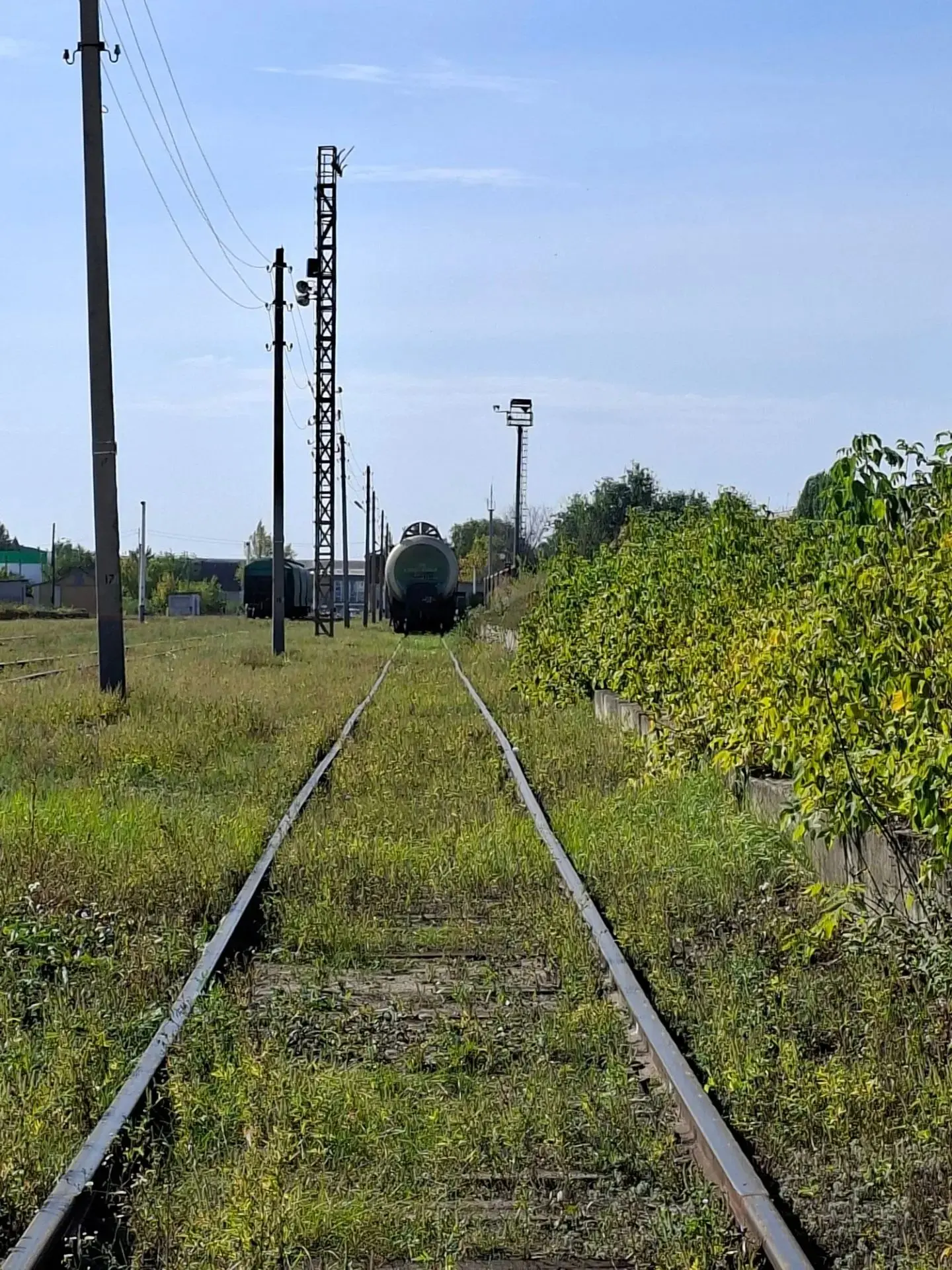 Доброе утро, музейные люди! 🌞