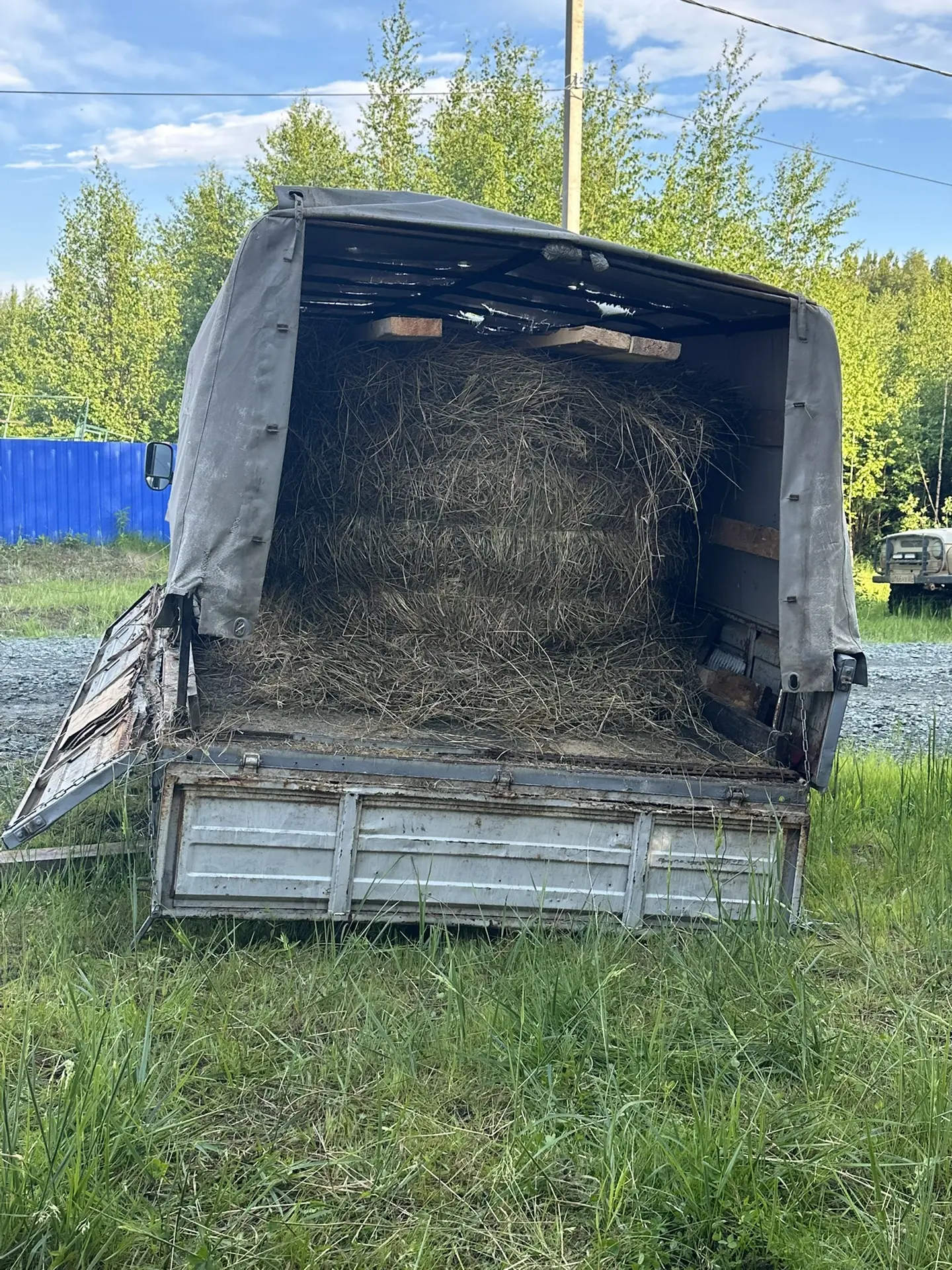 Сегодня ко мне приехала моя очень дорогая знакомая❤️