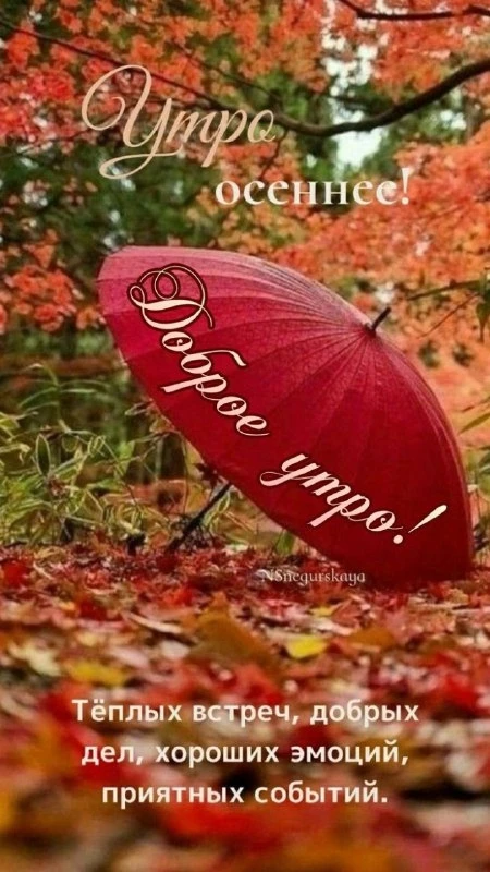Открытки: подписаться ❤️