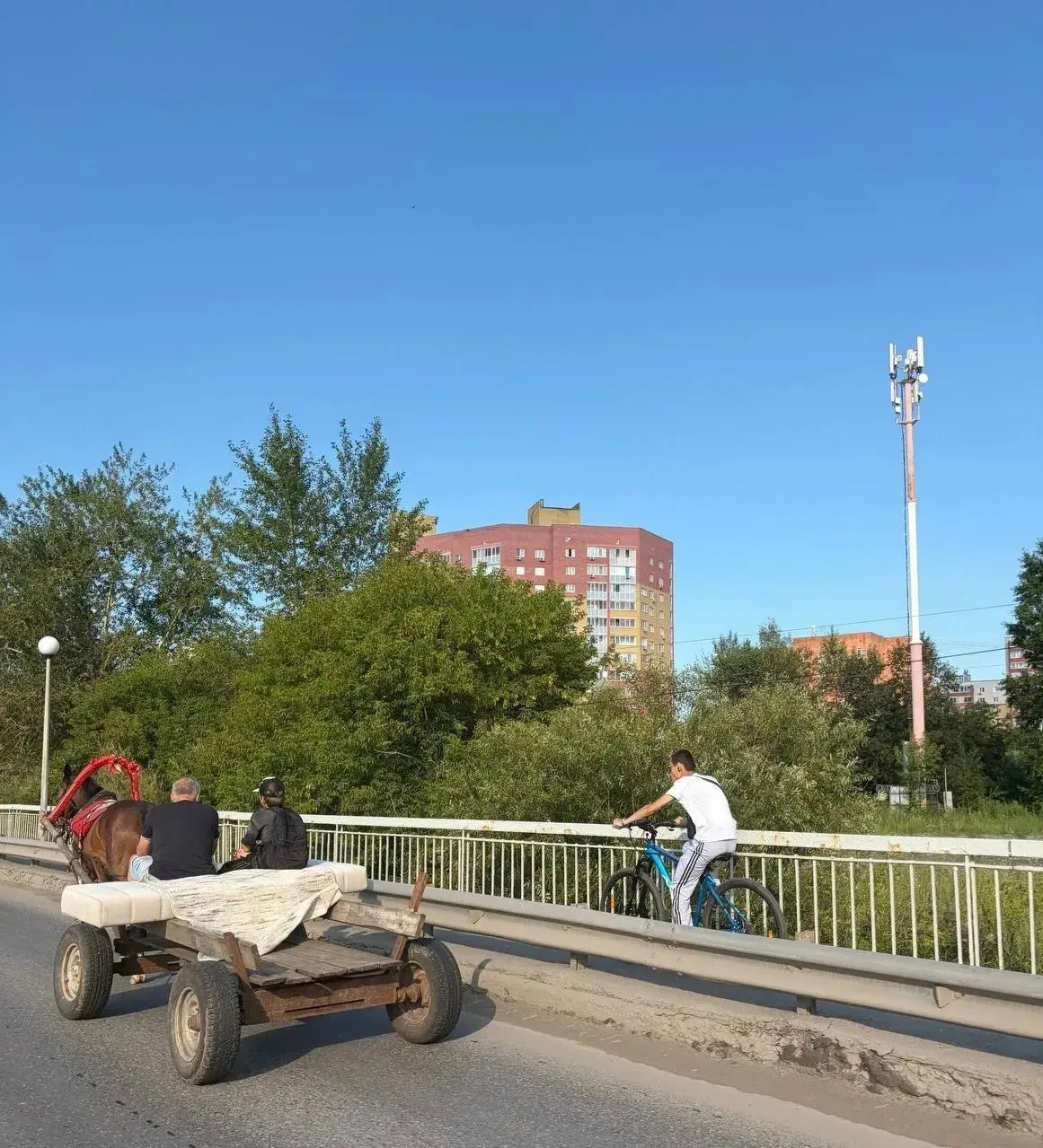 Теперь такой вид транспорта пользуется спросом у тюменцев 😅