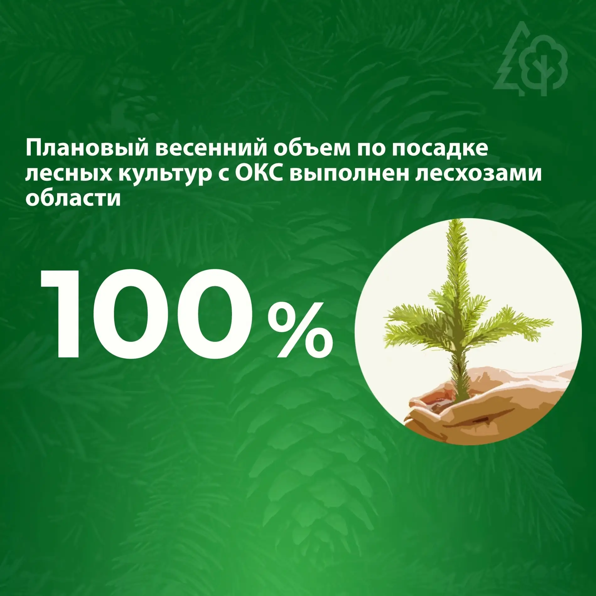 Специалисты лесхозов Вологодчины завершили весеннюю посадку лесных культур с открытой к...
