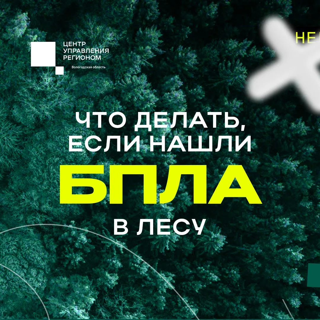 ❗ Нашли дрон в лесу? Рассказываем, что делать