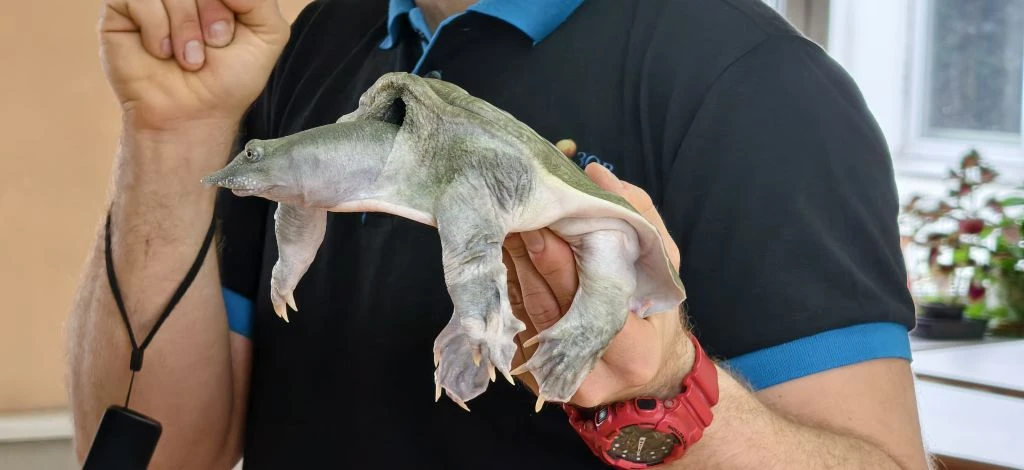 ИНТЕРАКТИВНЫЕ ЗАНЯТИЯ  🦎 Для учеников нашей школы прошла увлекательная интерактивная программа «Чуде