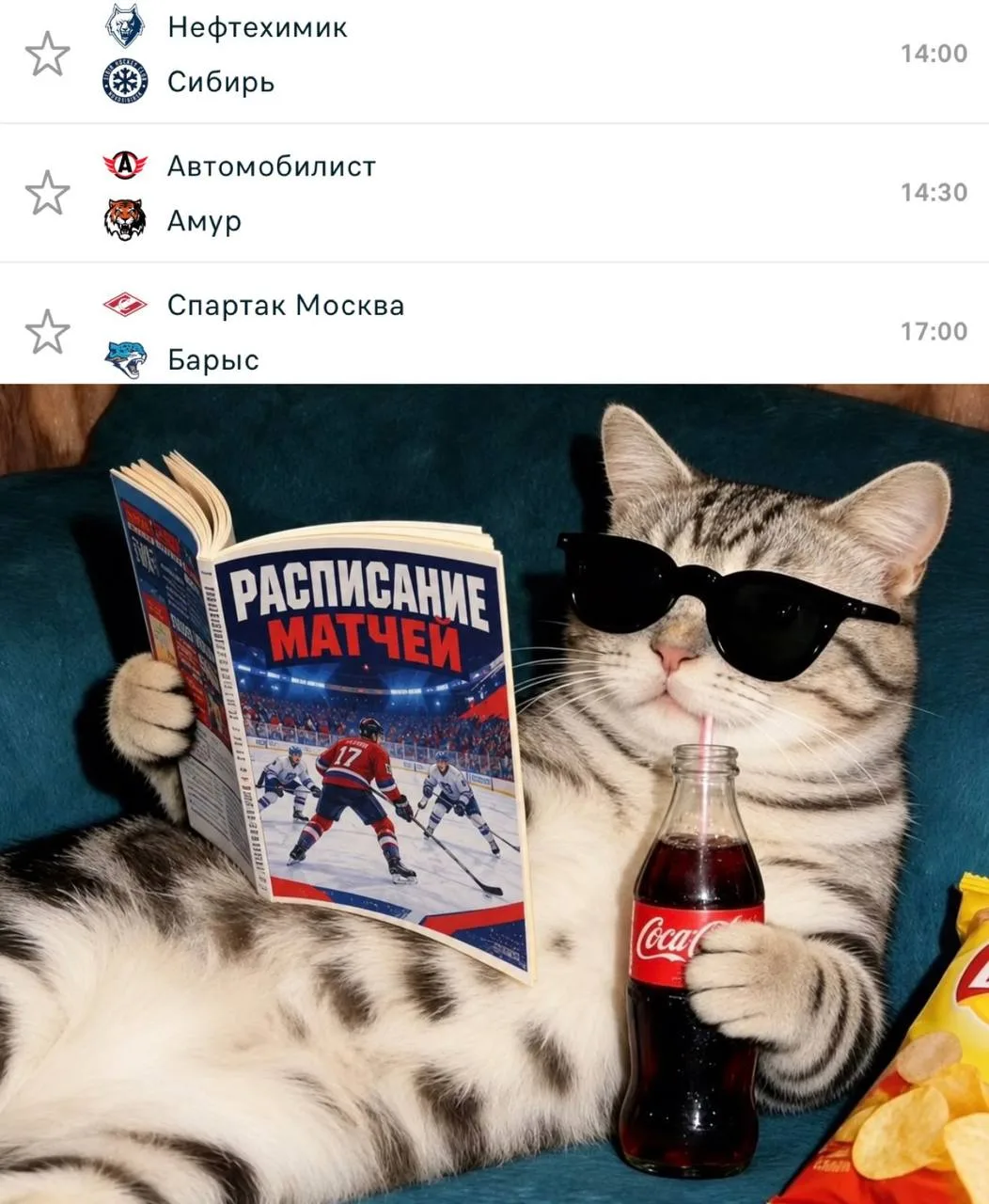 Воскресный хоккей 🍿