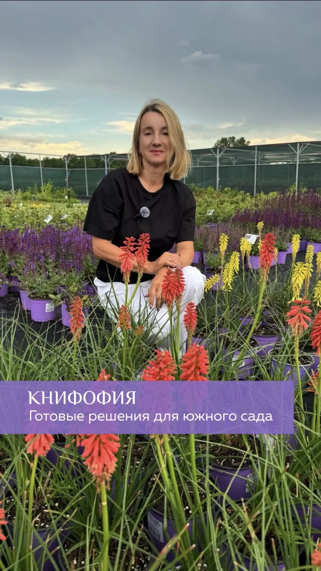 Подарки для вас!
Мы не только подобрали для вас композиции с книфофией, но и.. 

🎁Сделали скидку на