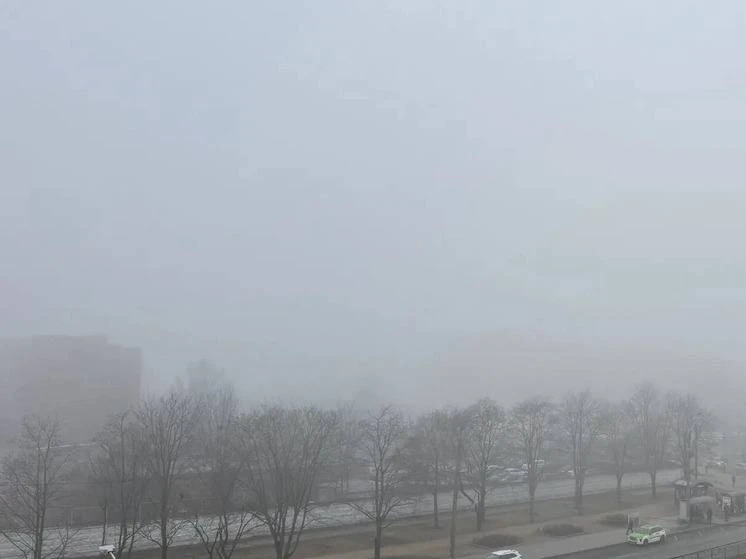 Холода и туман придут в Петербург в конце мая  По данным синоптика Александра Ильина, на следующей н