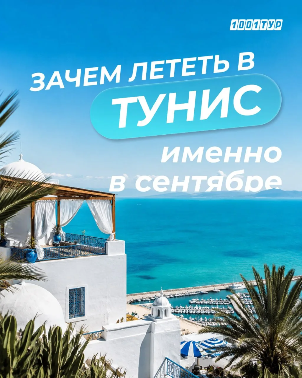 ☀️ Для знакомства с Тунисом мы бы выбрали сентябрь!