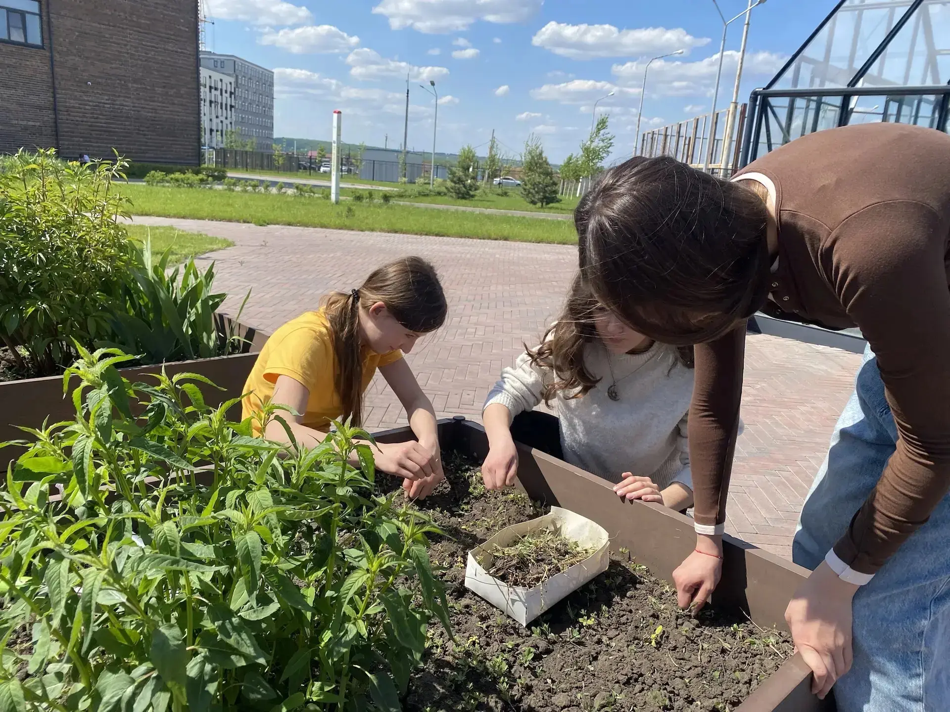 🌱 Урок географии, который запомнится. Теория важна, но практика - бесценна!🤌   Сегодня ученики «Терр