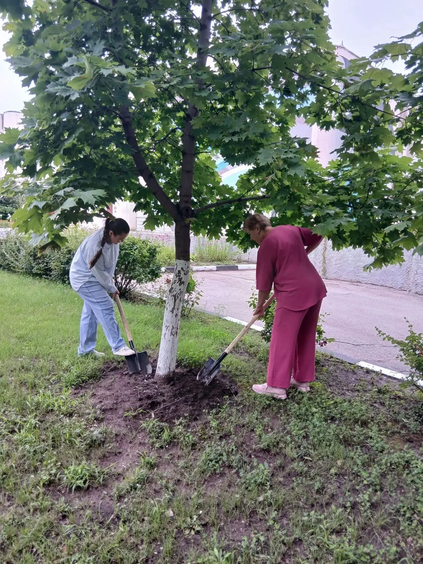 Уборка территории!