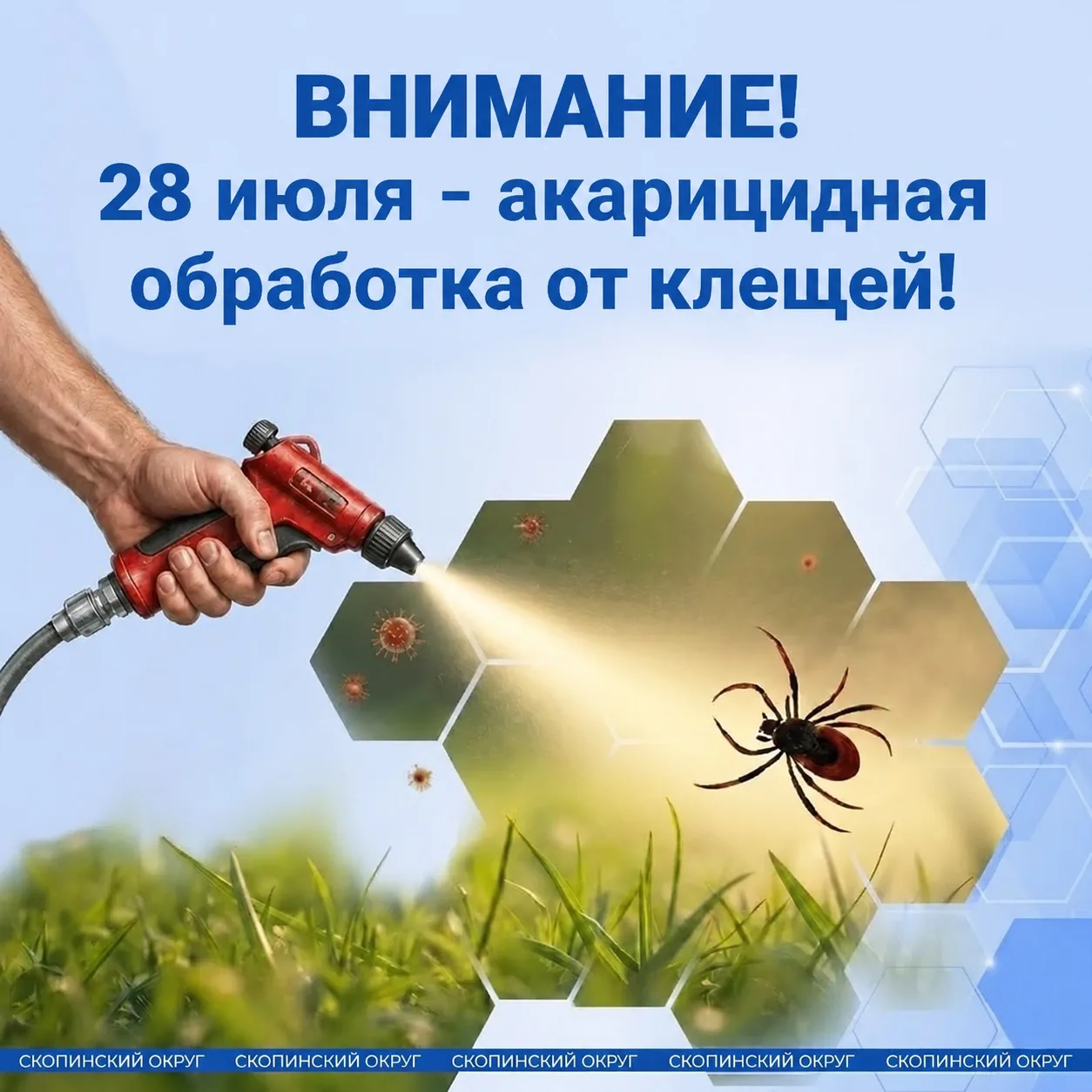 Внимание, скопинцы!
28 июля в Автозаводском микрорайоне,дом №19 запланирована акарицидная обработка 