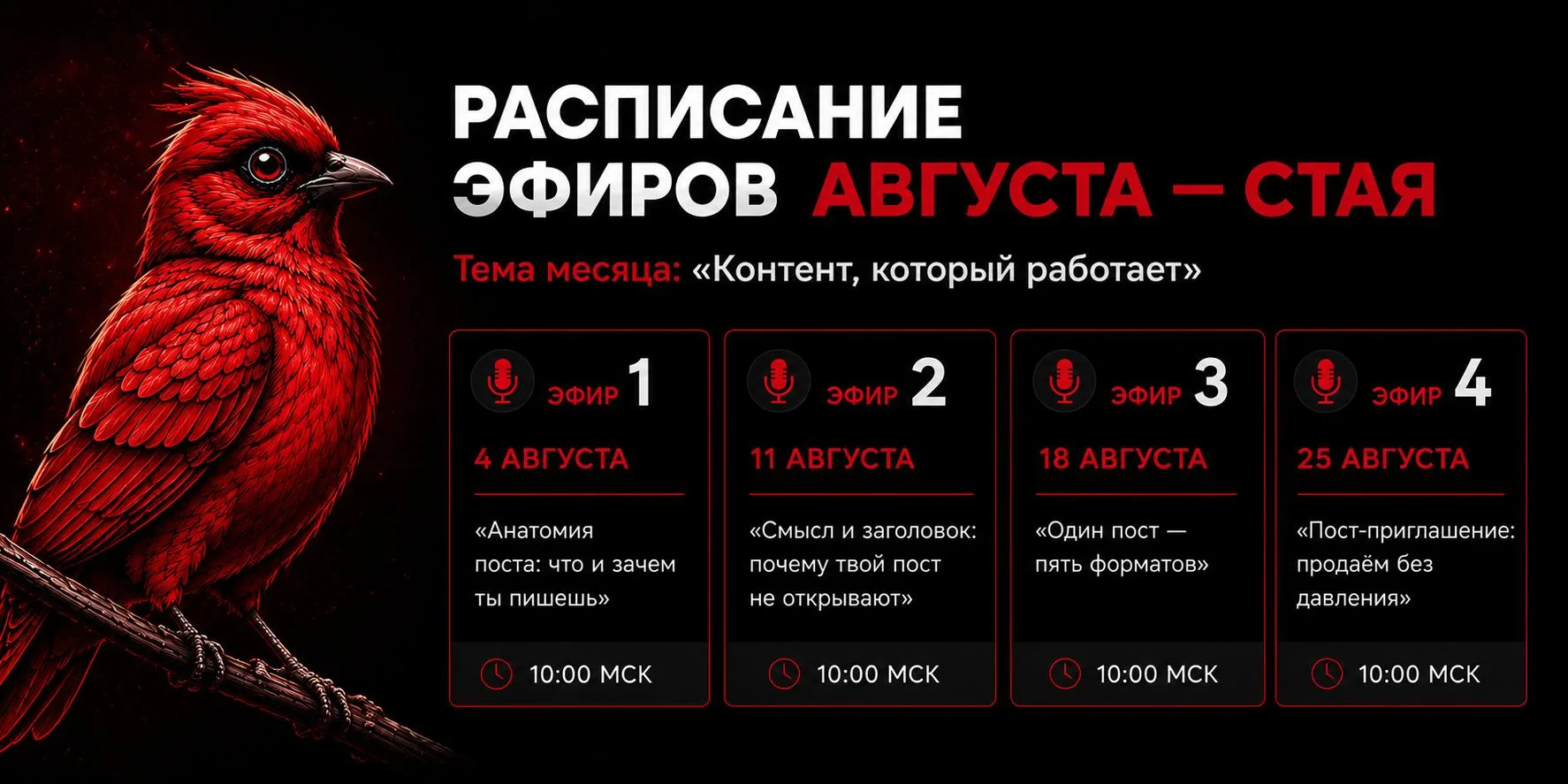 Медиа публикации
