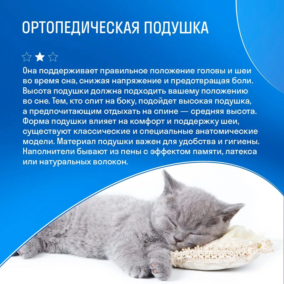 Сон – это настоящая перезагрузка организма, во время которой тело восстанавливает силы, мозг обрабат