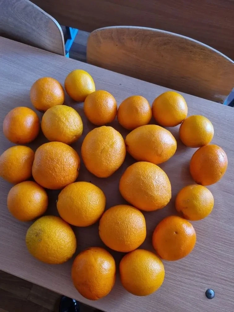 В школе прошел оранжевый день здоровья!🍊 «Мы делили апельсин,много нас,а он один»,- вспоминая строки