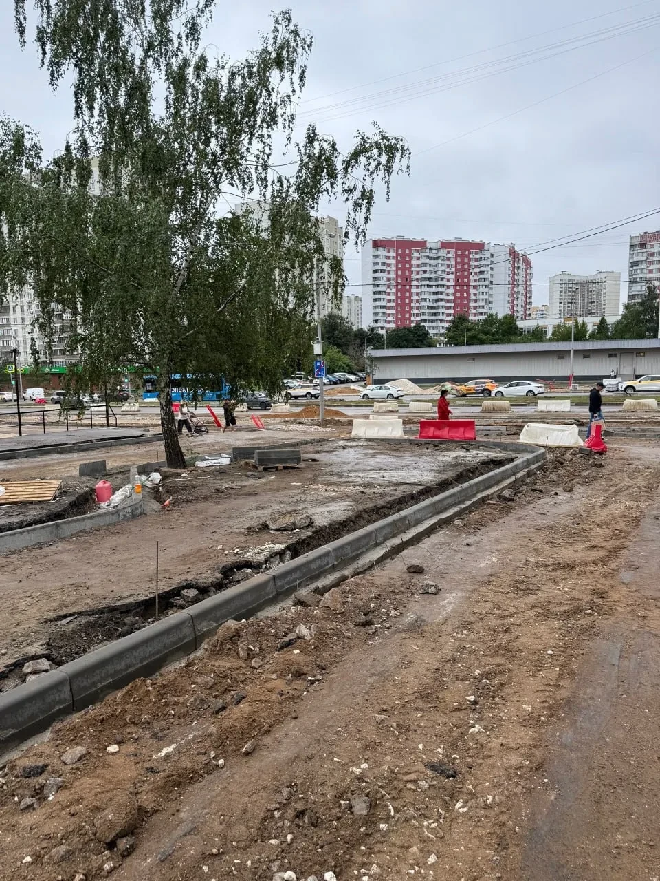 🌳 На Дубравной вместо парковки могут появиться зеленая зона и площадки