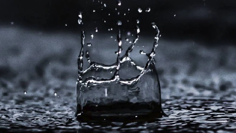 🌧️ Дожди задержатся в Воронежской области до начала августа.

По прогнозу синоптиков, дождливая пог