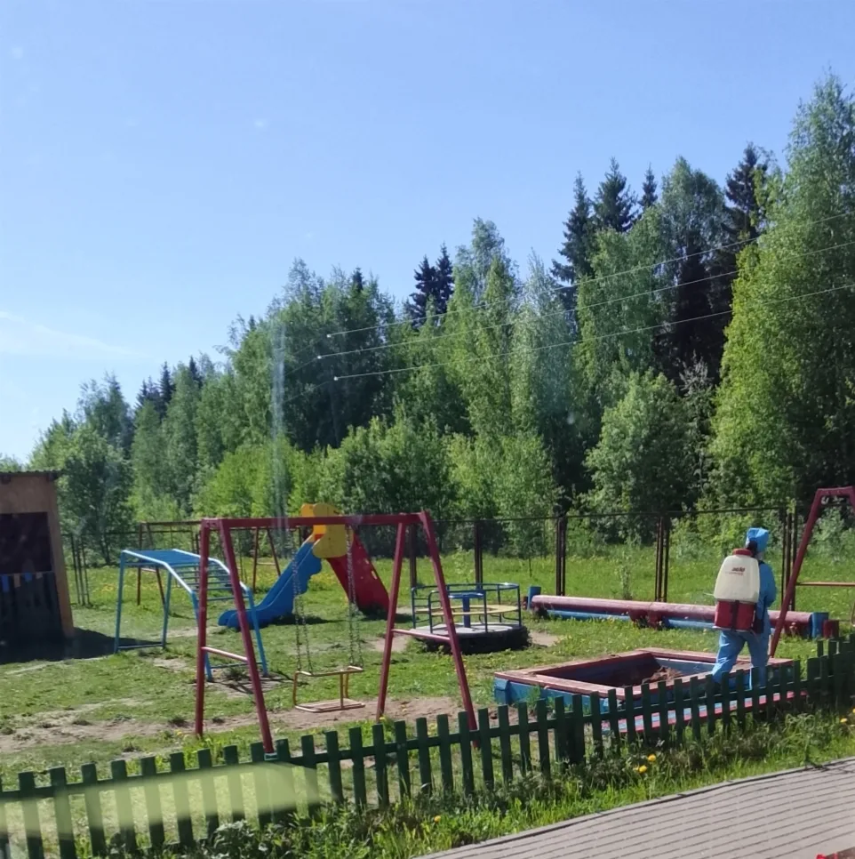 Добрый день, уважаемые родители!