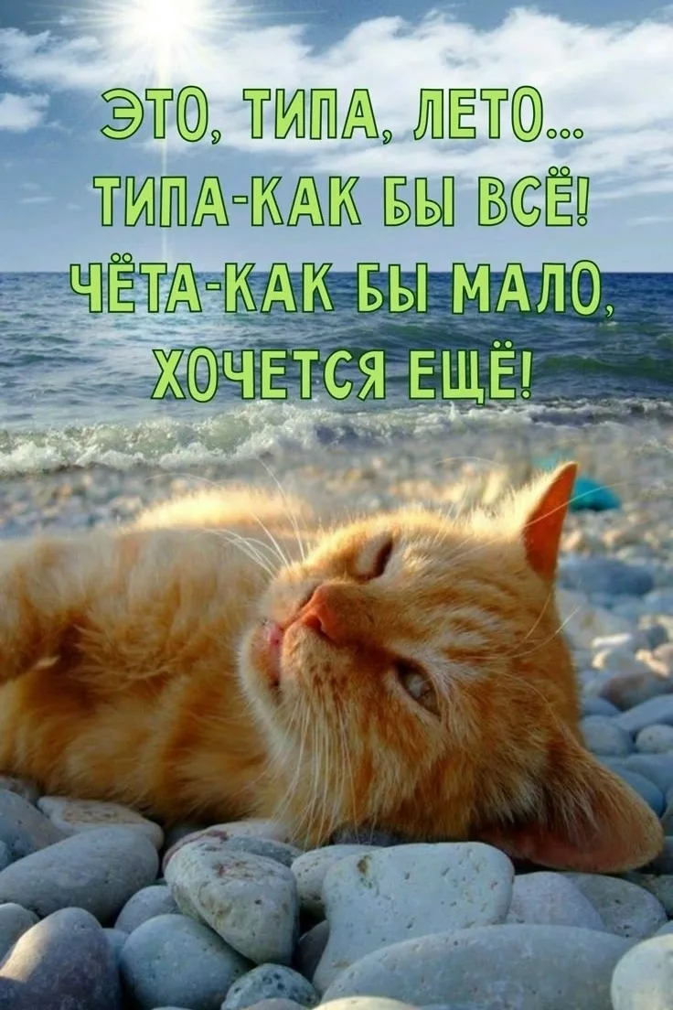 С последним днём лета!