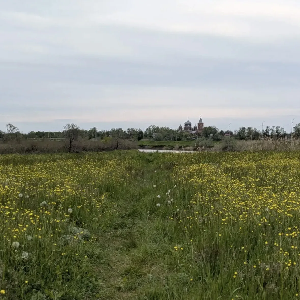 Доброе утро ☀️ 

Пусть утро подарит вдохновение и спокойствие! ☺️