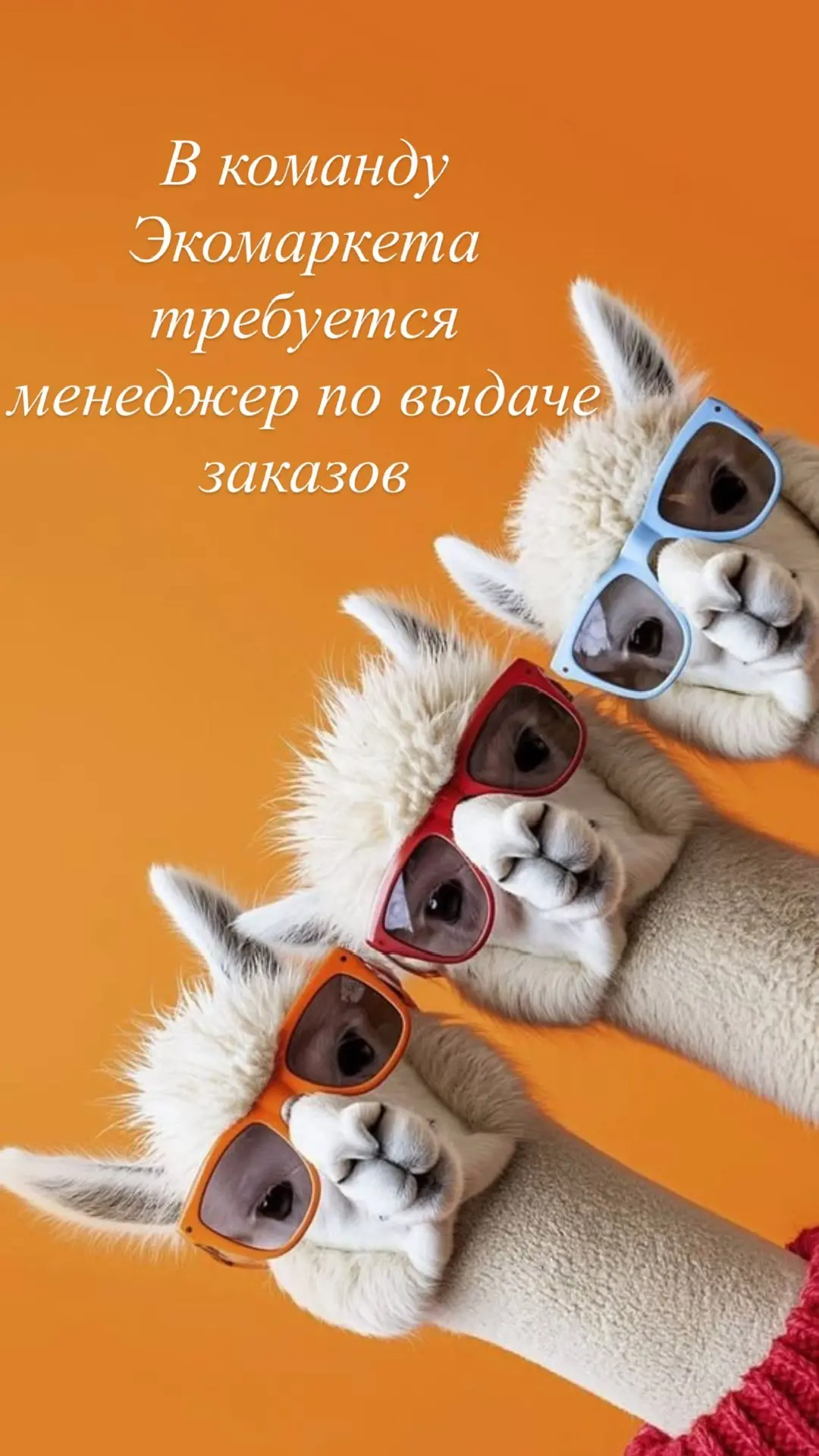 В дружную команду ЭКОМАРКЕТА «Глинская» требуется помощник в офис! 🌿