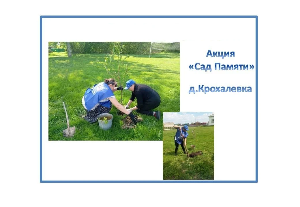 "Сад памяти"