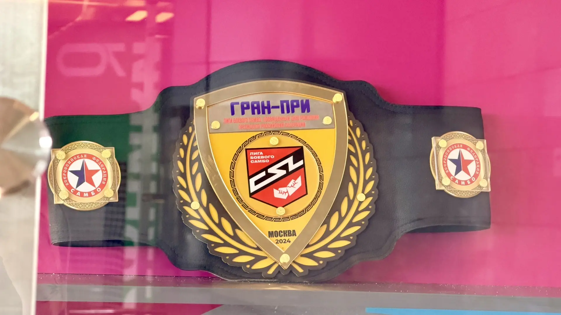🏆 Самбо - часть истории «Лужников»: экспонаты Музея самбо представлены на юбилейной выставке

В чес