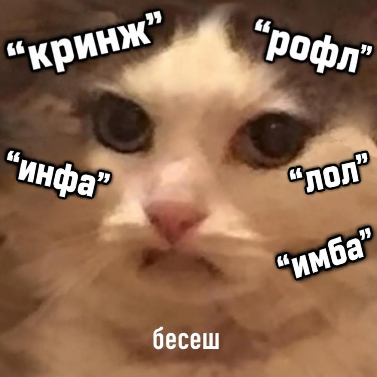 Кринж, рофл, лол и имба - россияне назвали слова, которые сильнее всего раздражают в по...